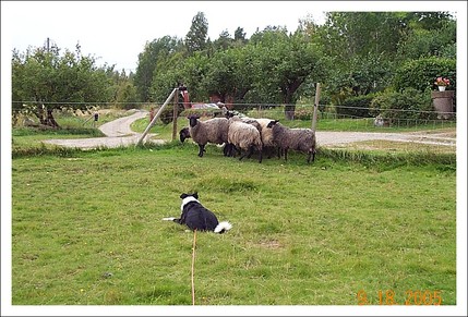 vallning-borje-anna-050918 (2).jpg