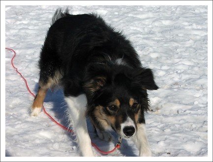 vallning-hos-inger-okare-06-03-25 (14)-ace-narbild.jpg